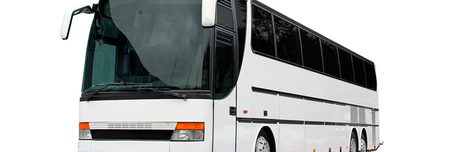 Bus Mel Quimica
